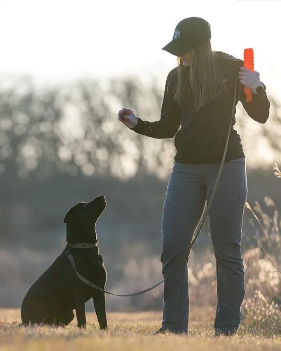 Vortex™ Padded Dog Leash - Image 2