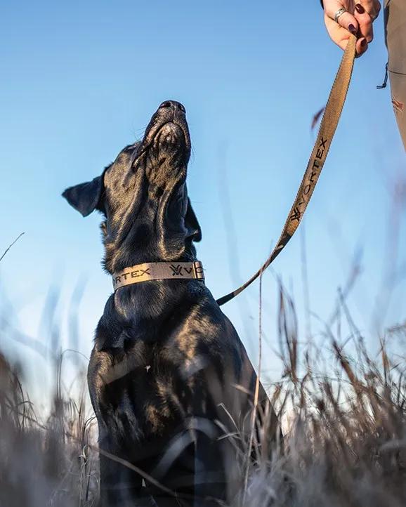 Vortex™ Adjustable Dog Collar - Image 2